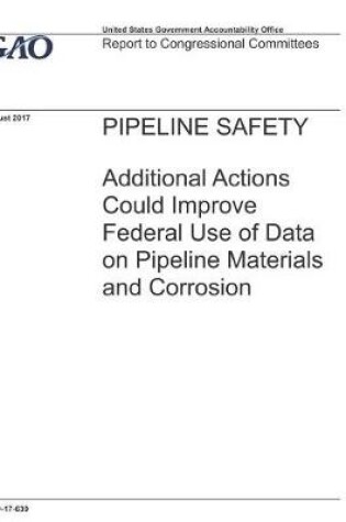 Cover of Pipeline Safety