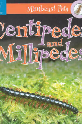 Cover of Millipedes and Centipedes