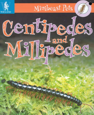 Cover of Millipedes and Centipedes