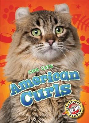 Cover of American Curls