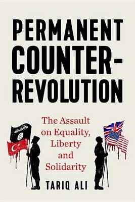 Book cover for Permanent Counter Revolution