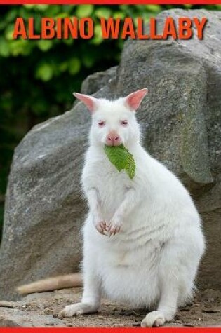 Cover of Albino Wallaby