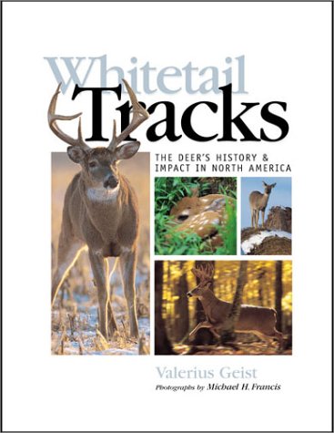 Book cover for Whitetail Tracks