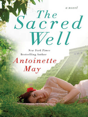Book cover for The Sacred Well