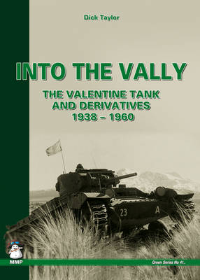 Book cover for Into the Vally