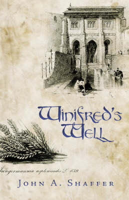 Book cover for Winifred's Well
