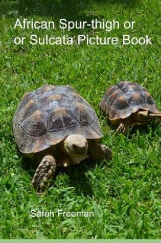 Cover of African Spur-thigh or Sulcata Tortoise Picture Book