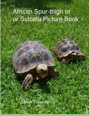 Cover of African Spur-thigh or Sulcata Tortoise Picture Book