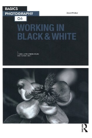 Cover of Working in Black & White