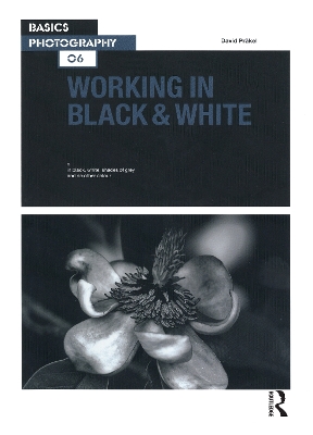Book cover for Working in Black & White