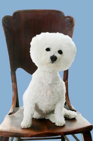 Cover of Bichon Frise