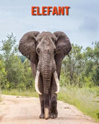 Book cover for Elefant