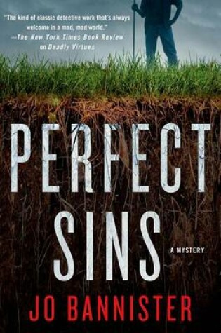 Cover of Perfect Sins