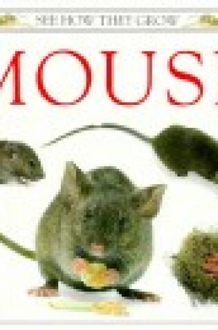 Cover of Burton Jane Watts : Mouse