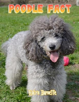 Book cover for Poodle Fact