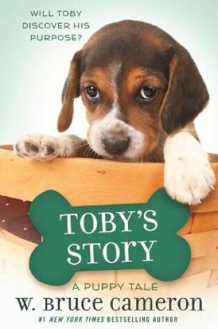 Cover of Toby's Story