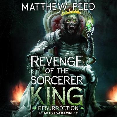 Book cover for Revenge of the Sorcerer King