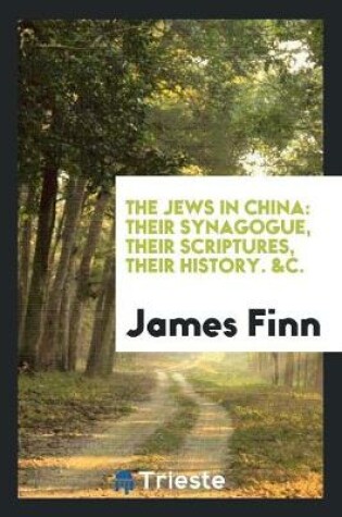 Cover of The Jews in China