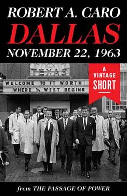 Book cover for Dallas, November 22, 1963