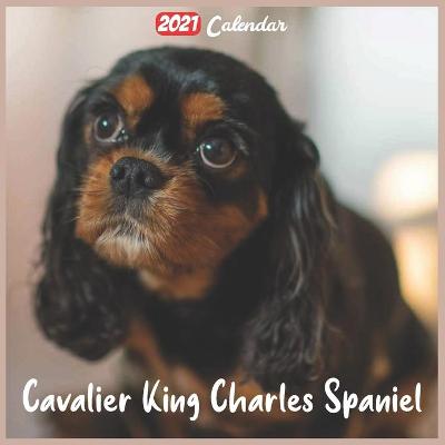 Book cover for Cavalier King Charles Spaniel 2021 Calendar