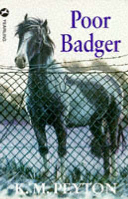 Book cover for Poor Badger