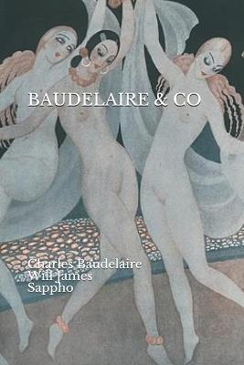 Book cover for Baudelaire & Co