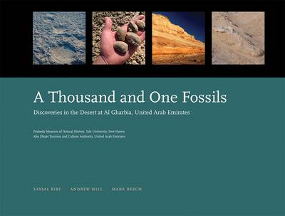 Book cover for A Thousand and One Fossils