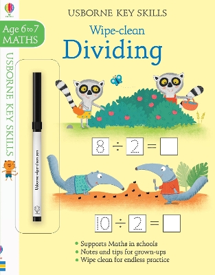 Book cover for Wipe-Clean Dividing 6-7