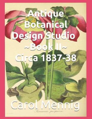 Book cover for Antique Botanical Design Studio Book II Circa 1837-38