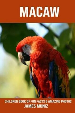 Cover of Macaw