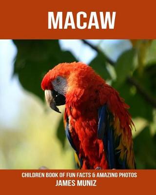 Book cover for Macaw