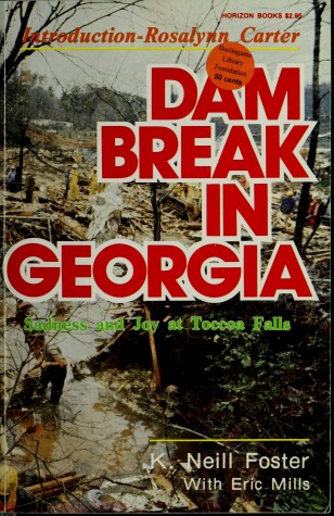 Cover of Dam Break in Georgia