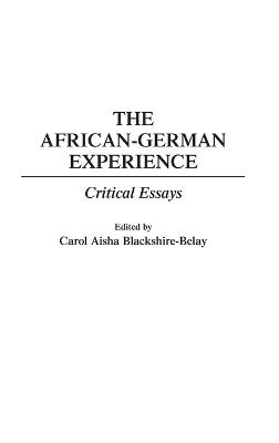 Book cover for The African-German Experience