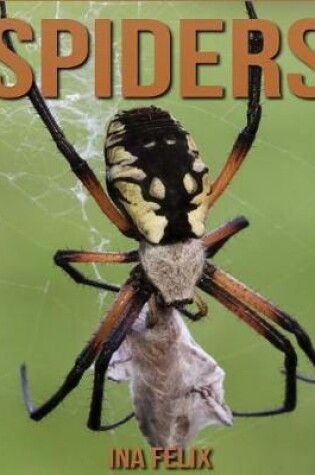 Cover of Spiders