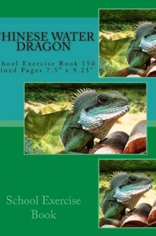 Cover of Chinese Water Dragon School Exercise Book