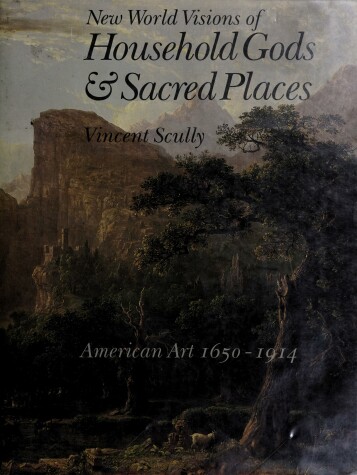 Book cover for New World Visions and Household Gods and Sacred Places