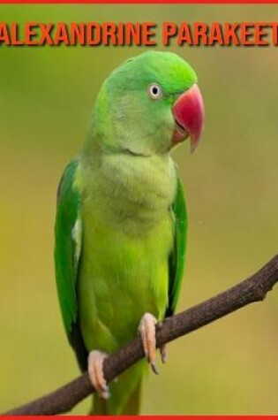 Cover of Alexandrine Parakeet