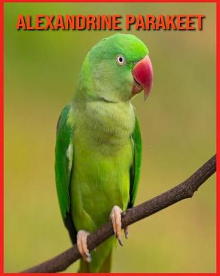 Book cover for Alexandrine Parakeet