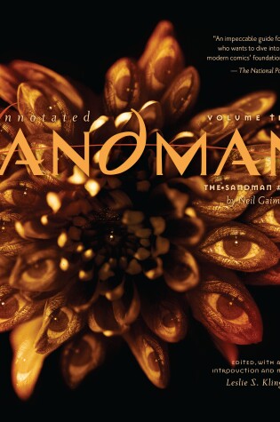 Cover of Annotated Sandman Vol. 3