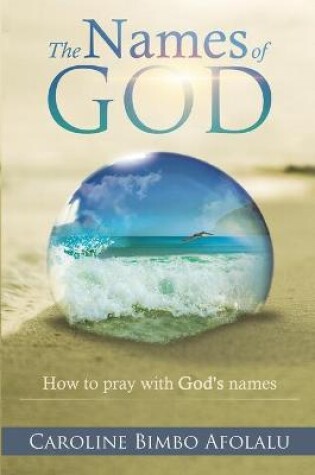 Cover of The Names of God