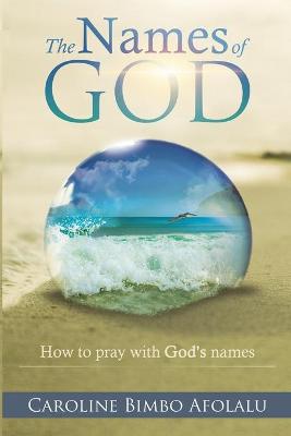 Book cover for The Names of God