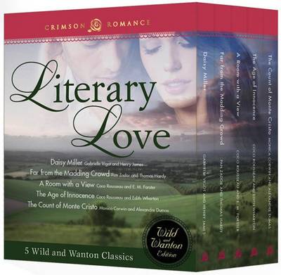 Book cover for Literary Love