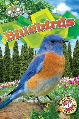 Cover of Bluebirds