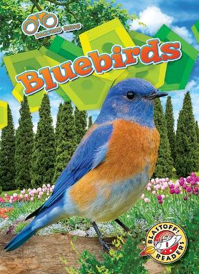 Book cover for Bluebirds