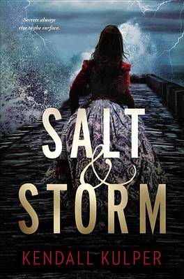 Book cover for Salt & Storm - Free Preview (the First 11 Chapters)