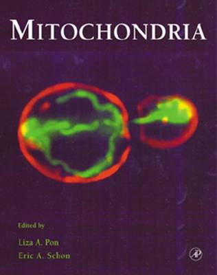 Book cover for Mitochondria