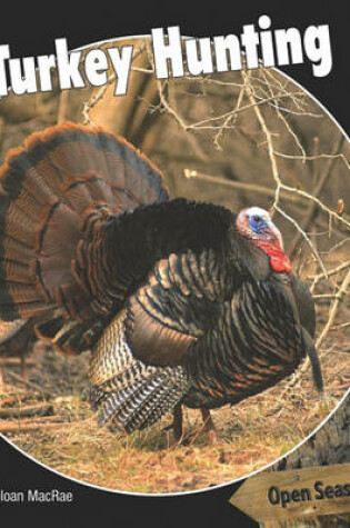 Cover of Turkey Hunting