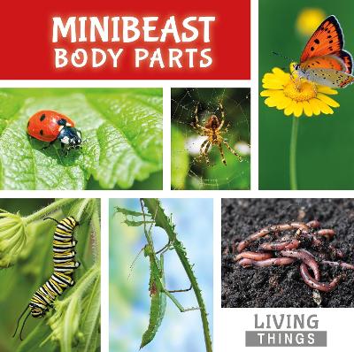 Book cover for Minibeast Body Parts