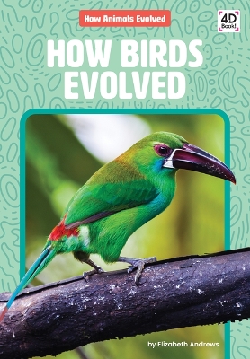 Book cover for How Birds Evolved