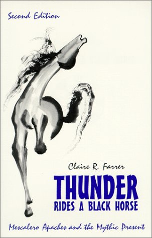 Book cover for Thunder Rides a Black Horse